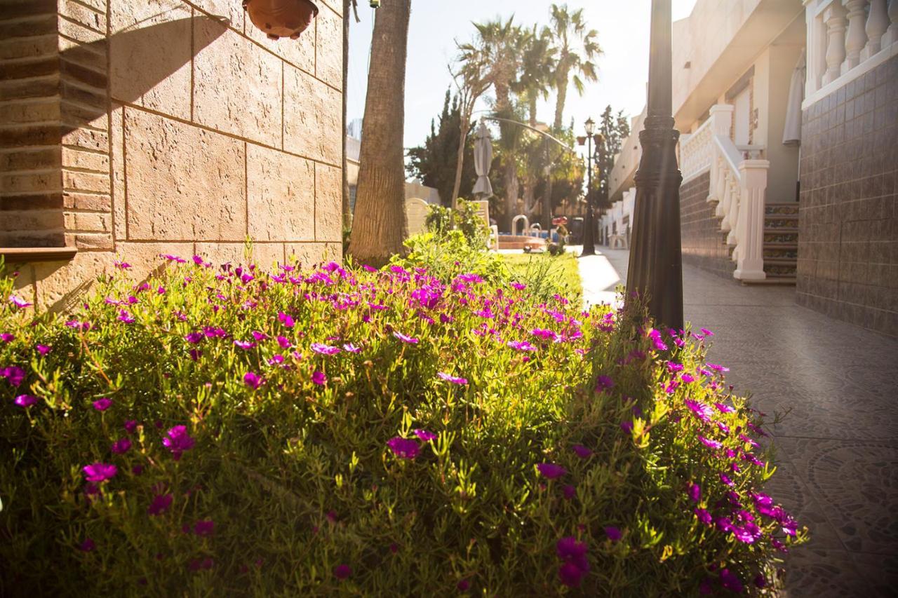 Laguna Salada Hotel Apartamento Torrevieja Exterior photo